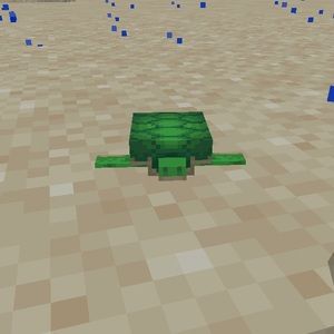 Meet your Posher, Carlee